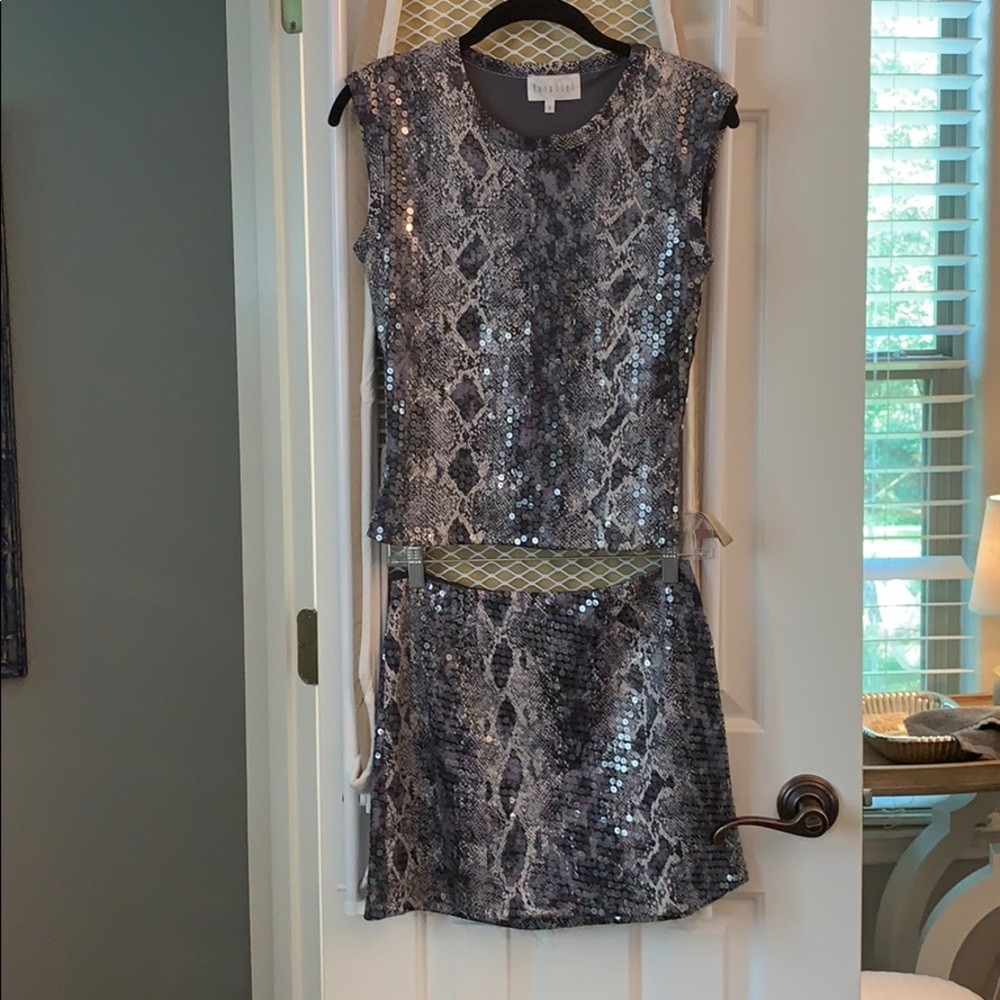 Python print Sequin skirt and top